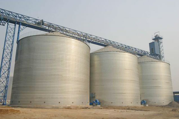 silo bin for bulk grain storage